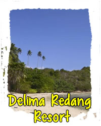 Delima redang